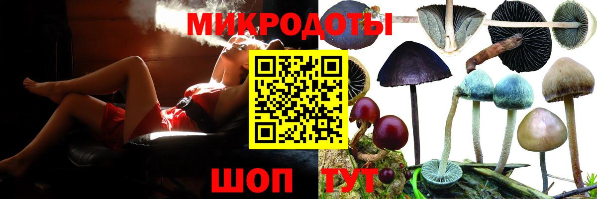 Галлюциногенные грибы Psilocybine cubensis Богданович